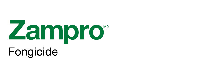 Zampro logo
